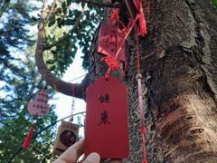 -青青世界