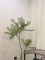 -张小野·专业半永久纹眉
