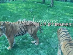 -北京野生动物园
