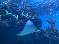 -华夏文旅海洋公园