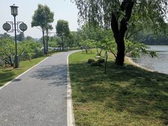 -月湖风景区