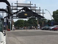 -荷塘月色湿地公园·向阳花洲