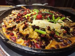 -老板恋上鱼(恒隆广场店)