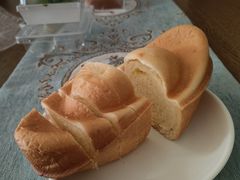 -广州天河体育中心-棒垒球场