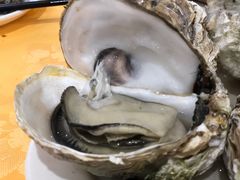 桑拿蚝-蚝专家(北滘店)