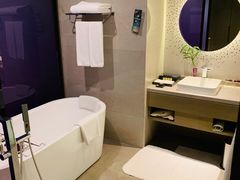 -南京禄口机场雅高铂尔曼大酒店