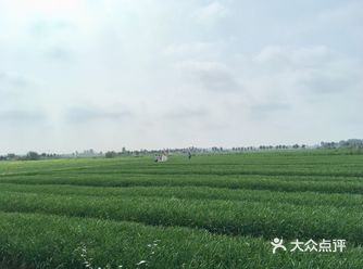 芜湖自古享有“江东名邑”、“吴楚名区”之美誉