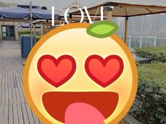 -真爱中国餐馆·年华店(朱雀大街店)