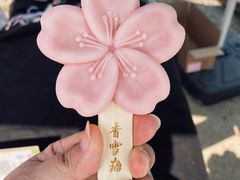 -香雪海