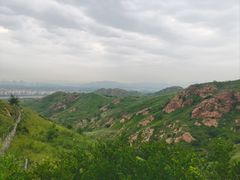 -红山国家森林公园