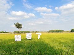 -嘉北郊野公园
