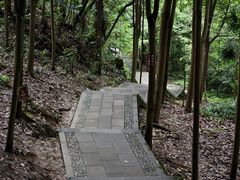 -凤栖山