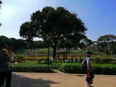 -天河儿童公园