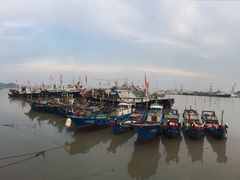 -沈家门海鲜夜排档(东港店)