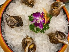 -寻味顺德·南记酒家·传统顺德菜·鱼生(广源路店)