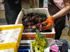 -凤凰路何眼镜香辣蟹(花果园店)