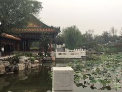 -武清南湖绿博园