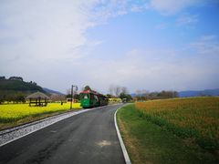 -径山花海