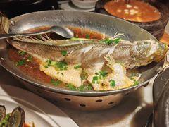 -佬肥猫(国华广场店)