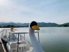 -长田漾湿地公园