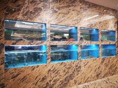 水产区-御和宴·精品粤菜(天润御海湾店)