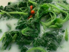 米汤苋菜-潮堂 · 潮州菜(国贸商城店)