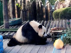 -大连森林动物园