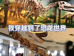 -甘肃地质博物馆