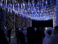 -长春公园(普阳街道)