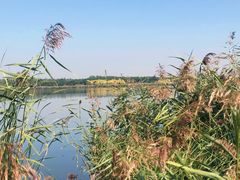 -西青郊野公园
