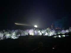 -禅宗少林·音乐大典