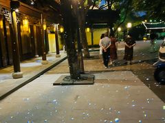 -绳金塔