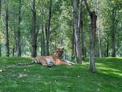 -北京野生动物园