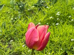 -长春公园(普阳街道)