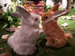 -Miss雨熙(云鼎店)