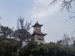 -四川大学(华西校区)