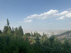 -兰山公园