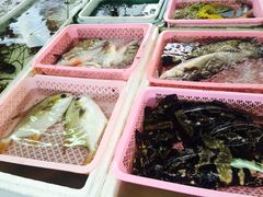 海鲜市场-大湾区中央湿地公园-十九涌