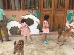 -杭州开元森泊度假乐园