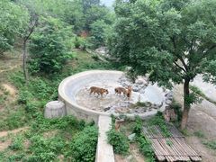 -石家庄市动物园