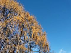 -硗碛藏寨·神木垒景区