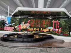 -广州白云国际机场-T2航站楼