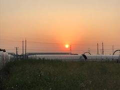 -菊园百果园