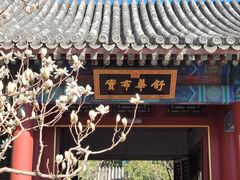 -颐和园