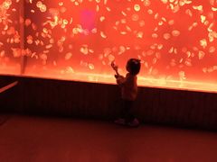 -多彩贵州城极地海洋世界