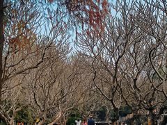 -晓港公园