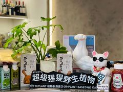 -WHEN PIGS FLY当猪飞