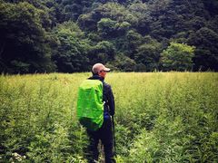 -终南山国家森林公园