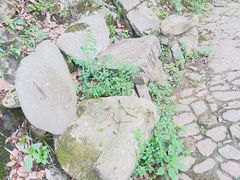 -水墨汀溪风景区