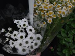 -Moss7Club 剧本杀桌游(inspark店)